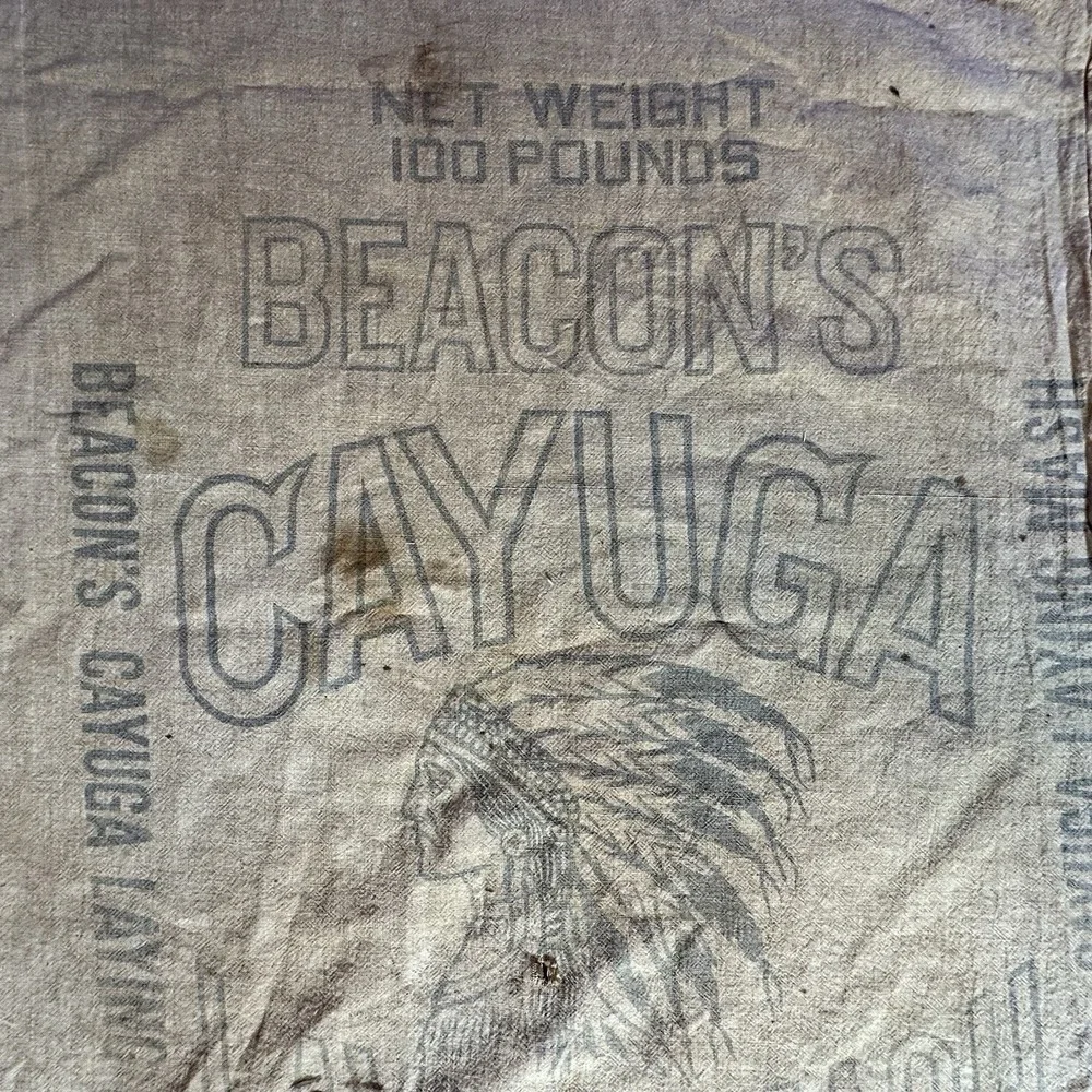 Vintage Cayuga Chicken Feed Bag‎ Beacon Milling Co Laying Mash Indian Chief Head